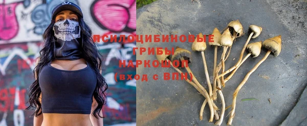 стафф Михайловка