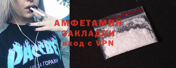 шишки Михайловск